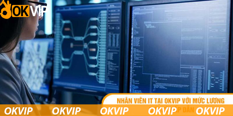 Chính sách lương thưởng đối với vị trí tuyển dụng IT OKVIP