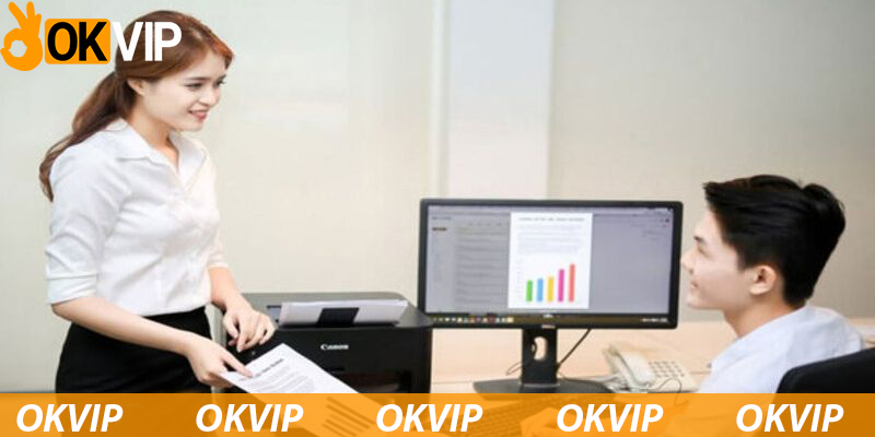 Điều kiện làm việc tại OKVIP cho vị trí trợ lý OA