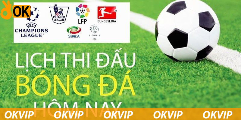 Lịch thi đấu bóng đá đã được cập nhật tại liên minh OKVIP