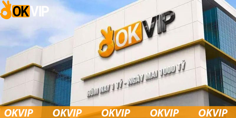 Tổng quan thông tin về liên minh OKVIP